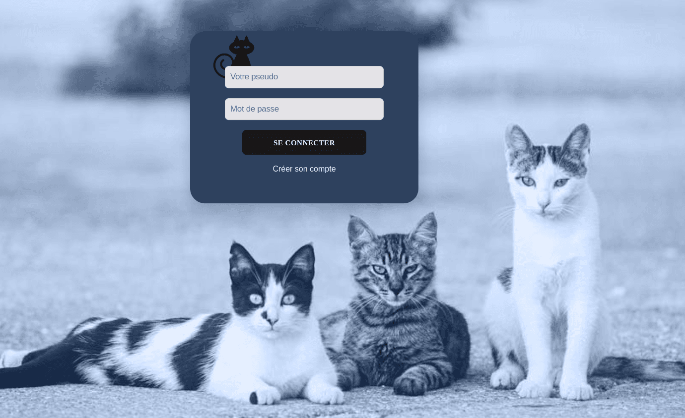 Page de connexion du site