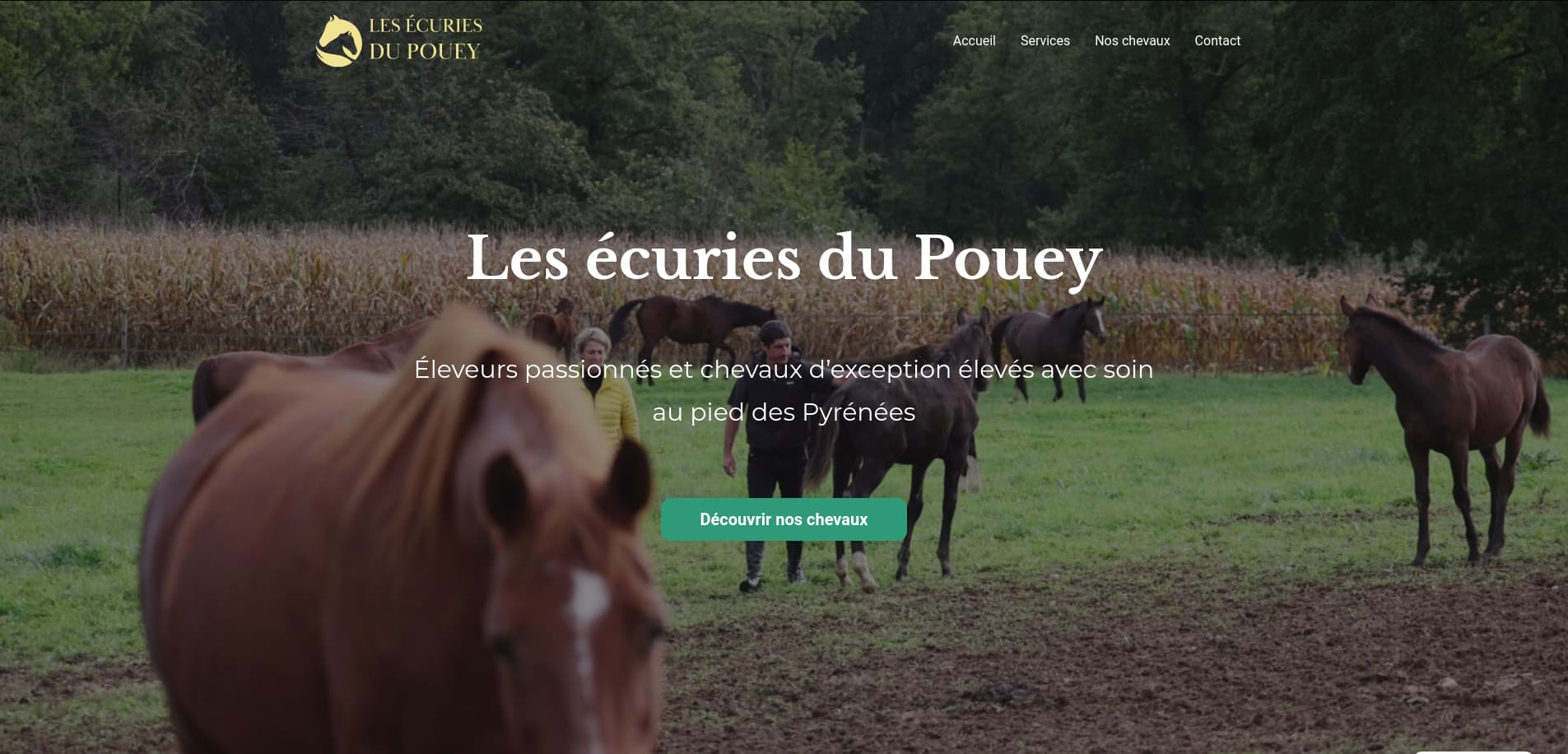 Page d'accueil du site des écuries du pouey